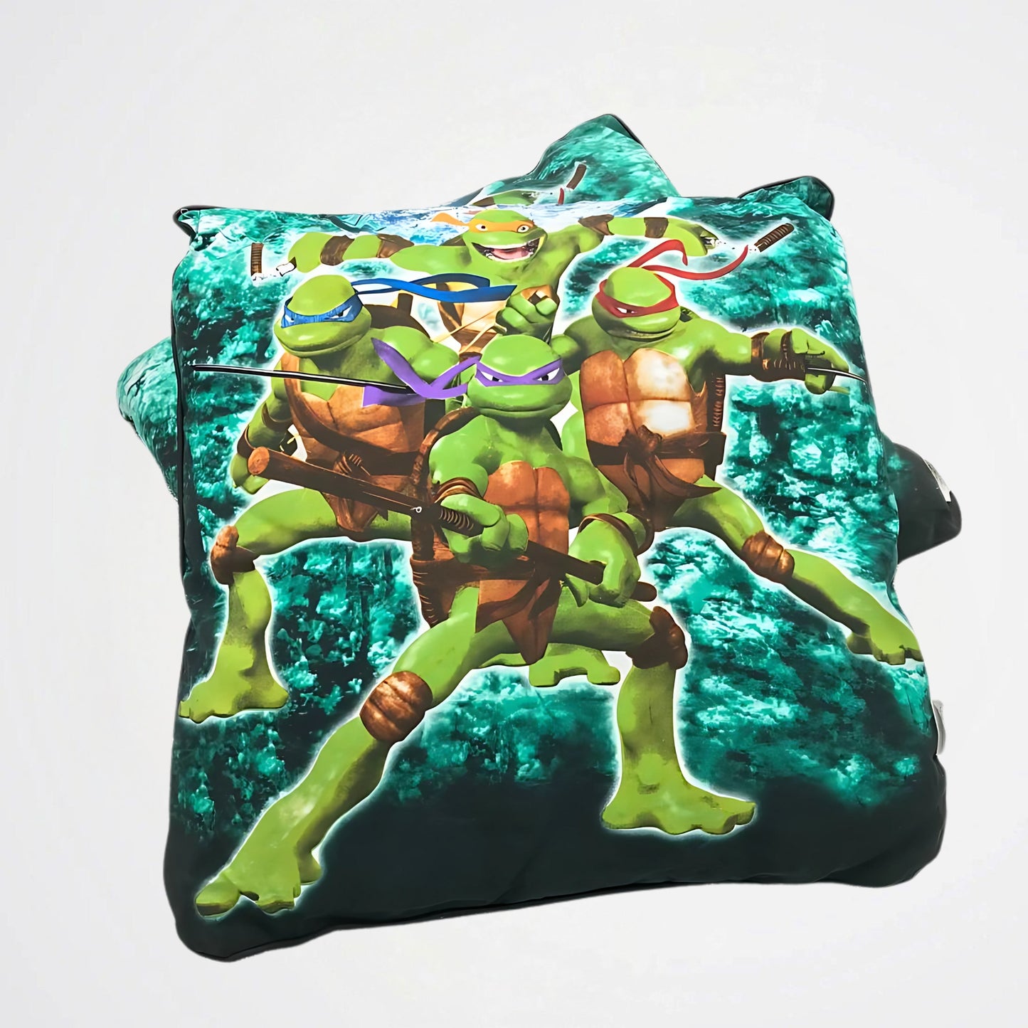 Teenage Ninja Turtles Blue Cushion