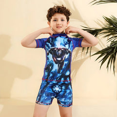 Iron Man Blue Rash Guard Swim Set