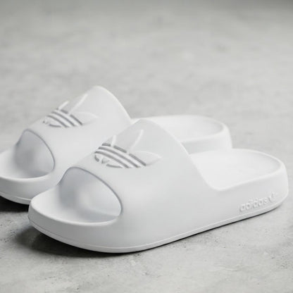 AD Basic Slides (Model 2)