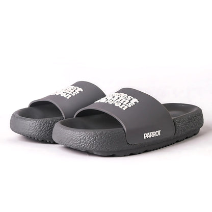 Parrot Everyday Grey Slides