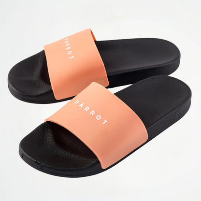 Classic Kashmir Slides