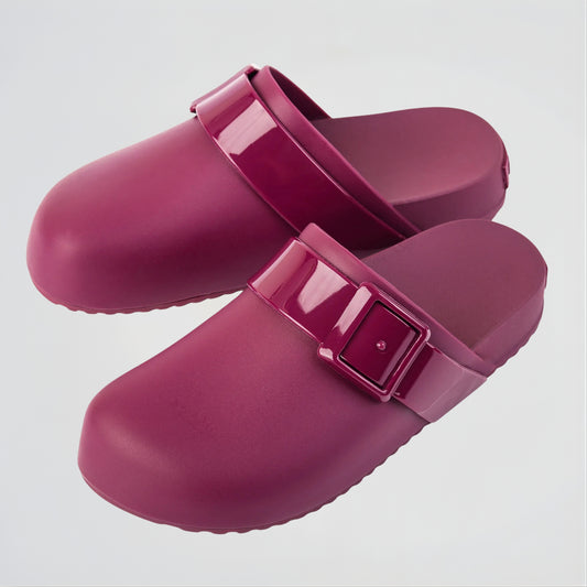 Parrot Burgundy Clogs