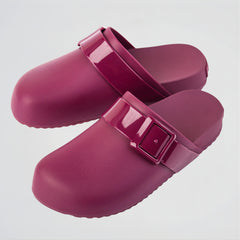 Parrot Burgundy Clogs