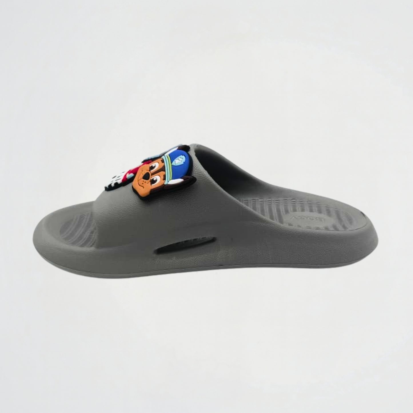 Paw Patrol Grey Slider