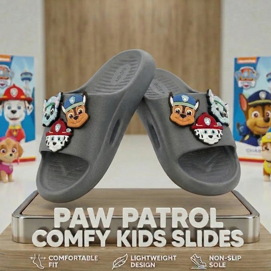 Paw Patrol Grey Slider