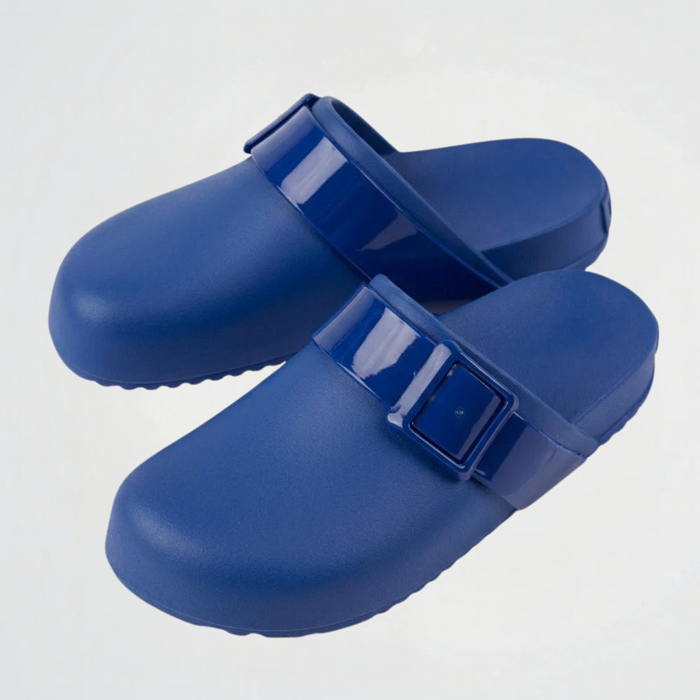 Parrot Blue Clogs