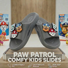 Paw Patrol Grey Slider