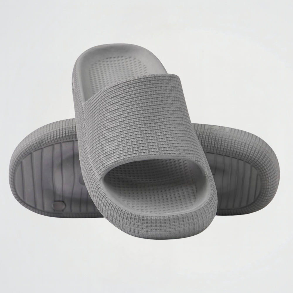 ZR Basic Grey Slides