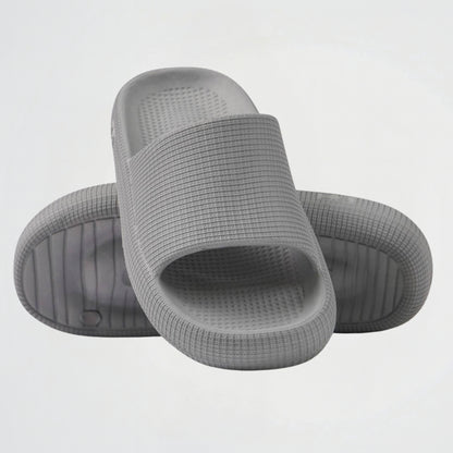ZR Basic Grey Slides