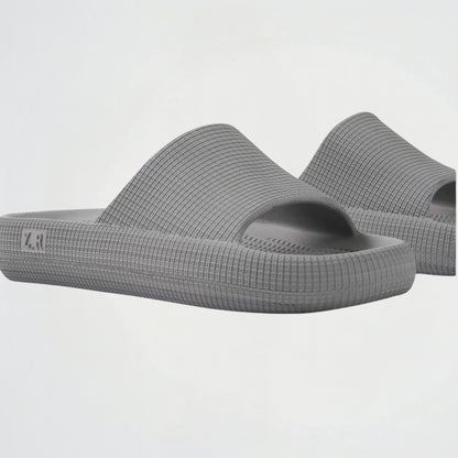 ZR Basic Grey Slides