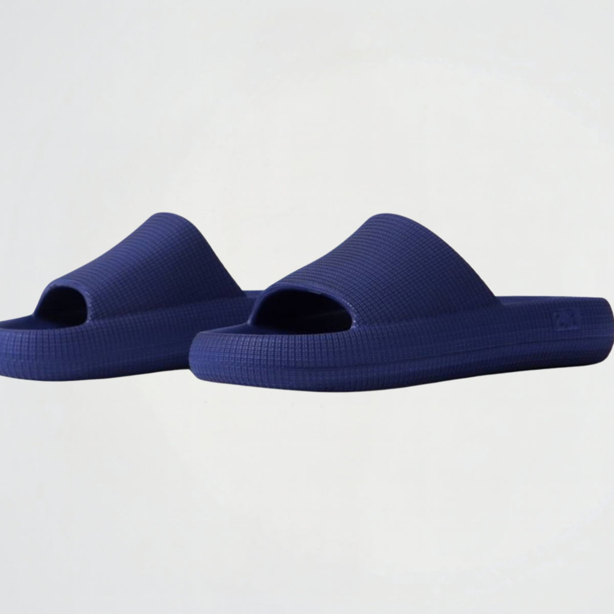 ZR Basic Navy Slides